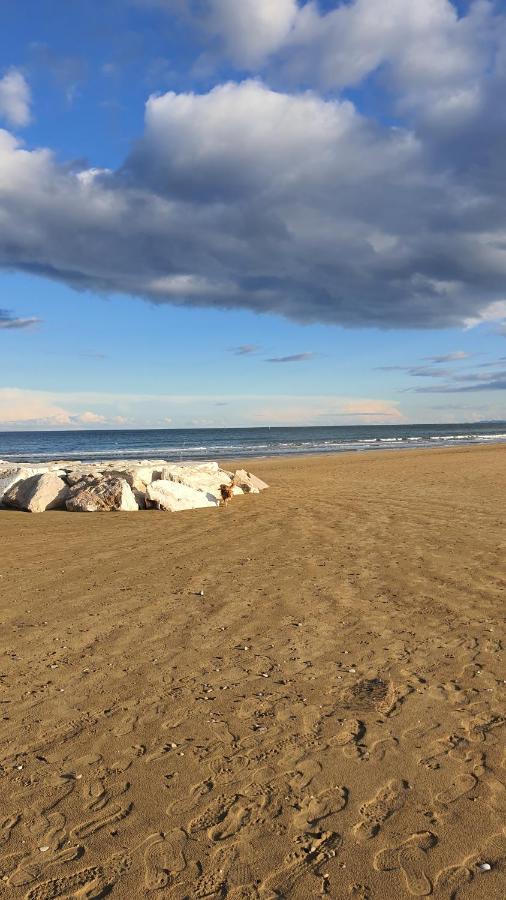 Bnb Fano Collina. La Pace Di Una Vacanza Piagge Екстериор снимка