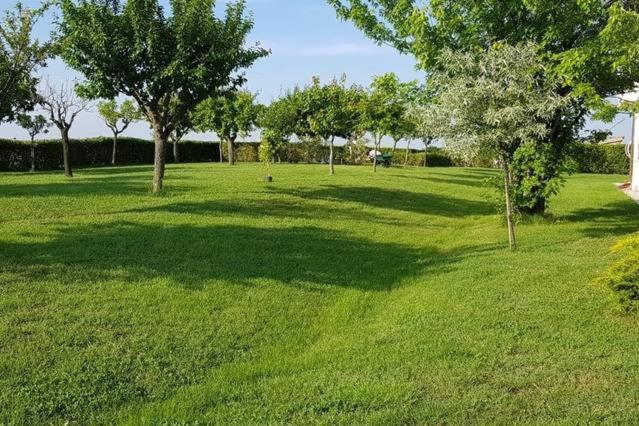 Bnb Fano Collina. La Pace Di Una Vacanza Piagge Екстериор снимка
